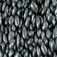 Vetnet Bean