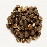 Moringa Seed
