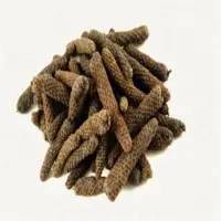 Long Pepper