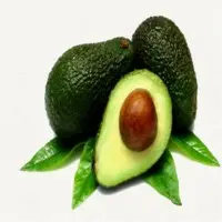 Avocado Oil