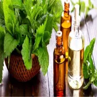 Peppermint Oil