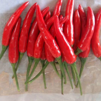 Red Chili/cayenne Pepper