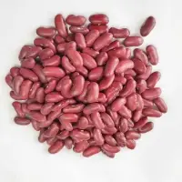 Beans (phaseolus vulgaris)