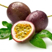 Passion Fruits (passflora edulis)