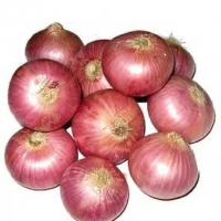 Onions