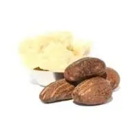 Shea Nuts & Butter