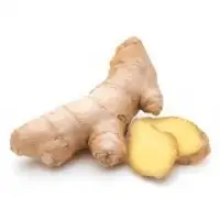Ginger
