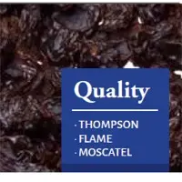 Dark Raisins