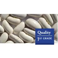 White Kidney Beans