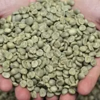 Aceh Gayo Arabica Organic Coffee Grade 1