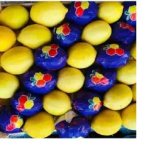 Lemon
