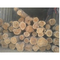 Teak Wood
