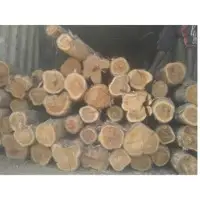 Teak Wood