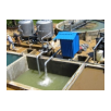 Sewage Treatment Plant (STP)