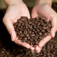 Arabica Coffee