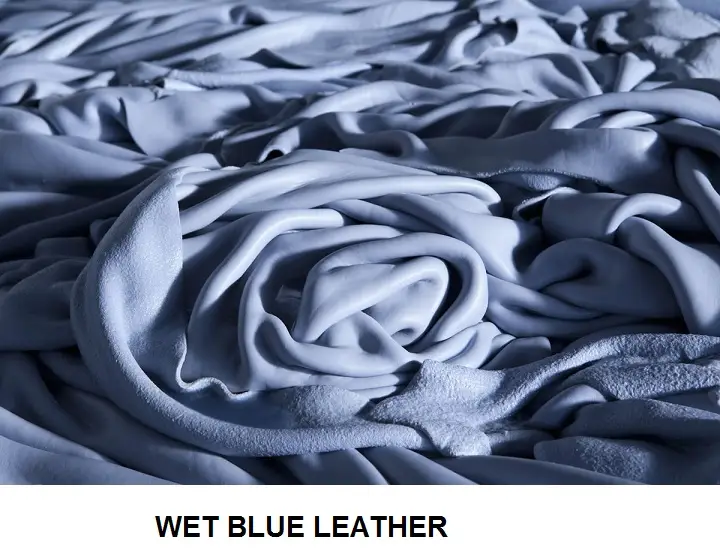 Wet Blue Leather
