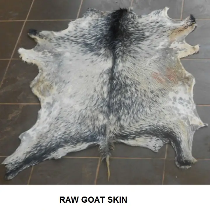Multicolor Raw Goat Skins