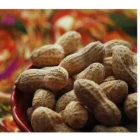 Groundnut Seeds