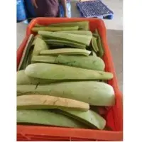 Aloe Vera Leaf