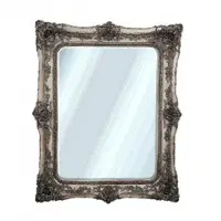 Silver Mirror