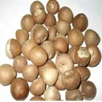 Betel Nuts