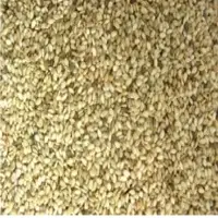 White Sesame Seed