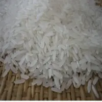 Jasmine Rice
