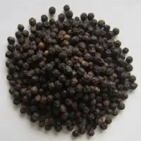 Black pepper