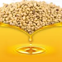 Soybean Refined Oil