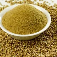Coriander Seeds