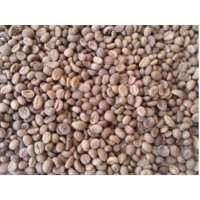 Cocoa Beans