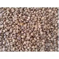 Cocoa Beans