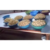 Raw Cashew