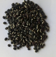 Beans