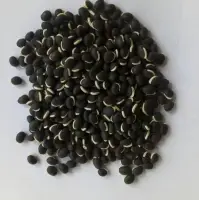 Beans