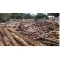 Wood Logs
