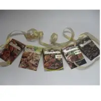 Corporate Brochure & Catalogue