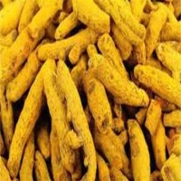 Turmeric