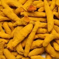 Turmeric