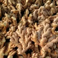 Dry Ginger