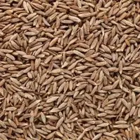 Cumin