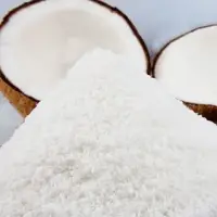 Desiccated Coconut Powder