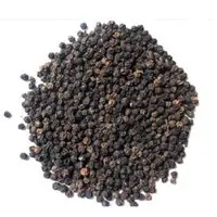 Pepper