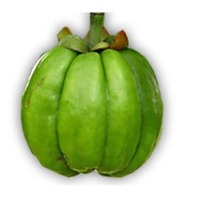 Garcinia Cambogia