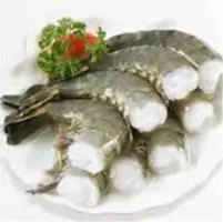 Black Tiger Shrimp