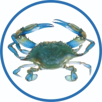 Blue Crab