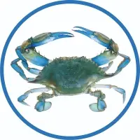 Blue Crab