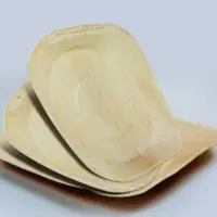 Biodegradable Plate 10"x10"