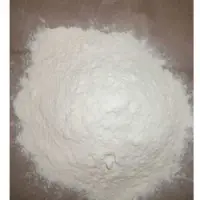 Dehydrated White Onion Powder