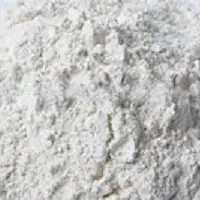Onion Powder